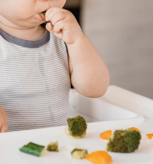 Introdução Alimentar